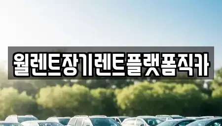 경기 용인시 기흥구 농서동 장기렌트카 전문 월렌트장기렌트플랫폼직카