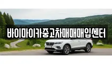경기 용인시 기흥구 농서동 중고차 전문 바이마이카중고차매매매입센터