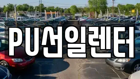 경기 용인시 수지구 풍덕천동 장기렌트카 전문 PU선일렌터