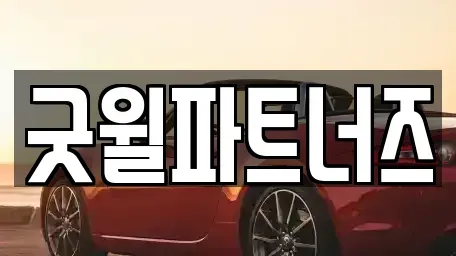경기 용인시 수지구 풍덕천동 장기렌트카 전문 굿윌파트너즈