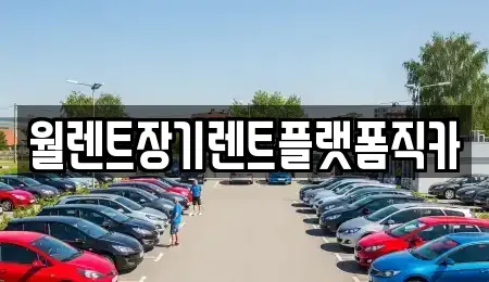 경기 용인시 수지구 풍덕천동 장기렌트카 전문 월렌트장기렌트플랫폼직카
