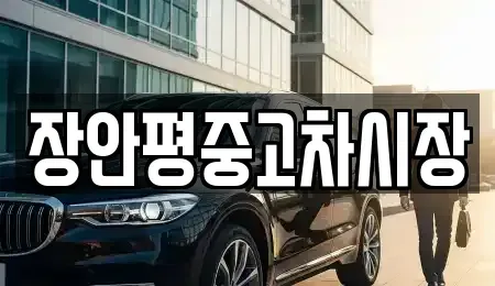경기 용인시 수지구 풍덕천동 중고차매매 전문 장안평중고차시장