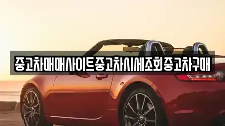 경기 용인시 수지구 풍덕천동 중고차매매 전문 중고차매매사이트중고차시세조회중고차구매