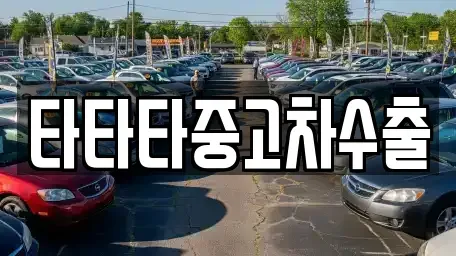 경기 용인시 수지구 풍덕천동 중고차매매 전문 타타타중고차수출