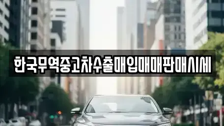 경기 용인시 수지구 풍덕천동 중고차매매 전문 한국무역중고차수출매입매매판매시세