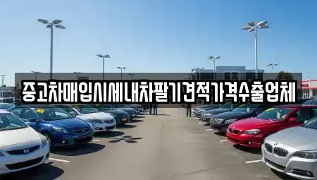 경기 용인시 수지구 풍덕천동 중고차매입 전문 중고차매입시세내차팔기견적가격수출업체