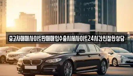 경기 용인시 처인구 백암면 중고차매입 전문 중고차매매사이트판매매입수출시세사이트24시간친절한상담