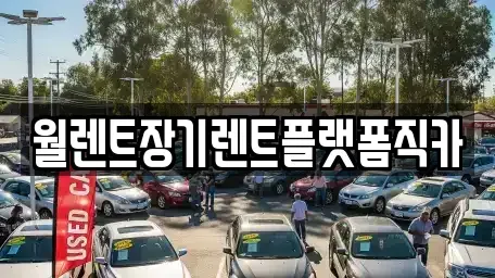 경기 의정부시 민락동 장기렌트카 전문 월렌트장기렌트플랫폼직카