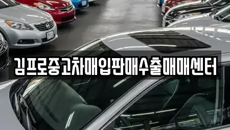 경기 의정부시 민락동 중고차 전문 김프로중고차매입판매수출매매센터