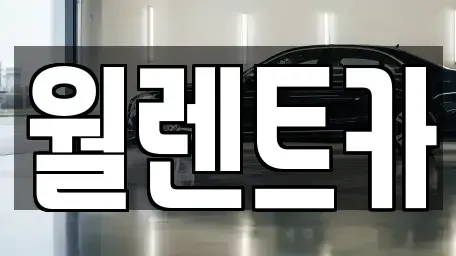경기 이천시 부발읍 렌트카 전문 월렌트카
