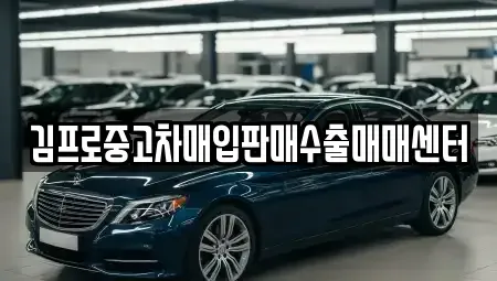경기 이천시 장록동 중고차 전문 김프로중고차매입판매수출매매센터