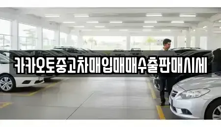 경기 이천시 장록동 중고차 전문 카카오토중고차매입매매수출판매시세