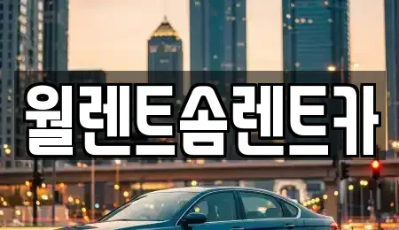 경기 파주시 탄현면 렌트카 전문 월렌트솜렌트카