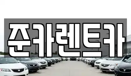 경기 파주시 탄현면 렌트카 전문 준카렌트카