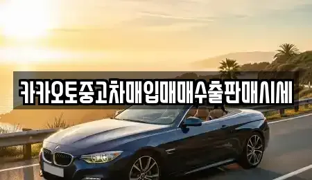경기 파주시 탄현면 중고차매입 전문 카카오토중고차매입매매수출판매시세