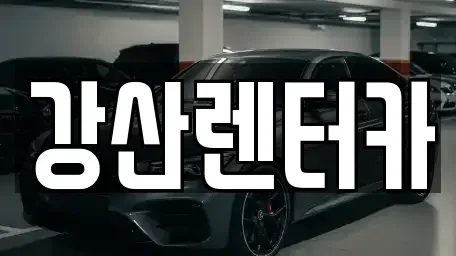 경기 평택시 동삭동 렌트카 전문 강산렌터카
