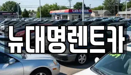 경기 평택시 동삭동 렌트카 전문 뉴대명렌트카