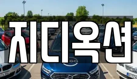 경기 평택시 동삭동 중고차 전문 지디옥션