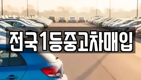 경기 평택시 동삭동 중고차매입 전문 전국1등중고차매입