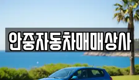 경기 평택시 오성면 중고차 전문 안중자동차매매상사