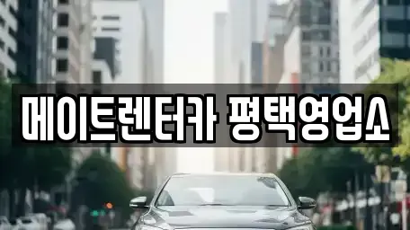 경기 평택시 청북읍 렌트카 전문 메이트렌터카 평택영업소