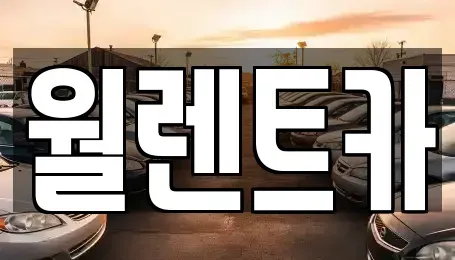 경기 평택시 청북읍 렌트카 전문 월렌트카