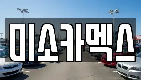 경기 평택시 청북읍 중고차 전문 미소카멕스
