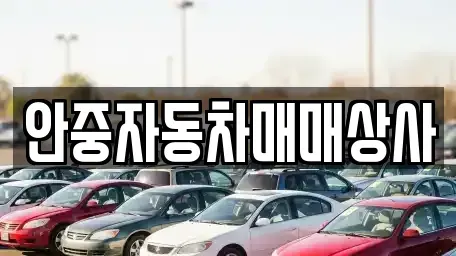 경기 평택시 청북읍 중고차 전문 안중자동차매매상사