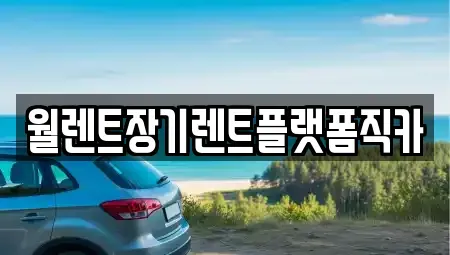 경기 화성시 매송면 장기렌트카 전문 월렌트장기렌트플랫폼직카
