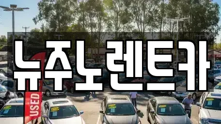 경기도 고양시 일산동구 마두동 단기렌트카 전문 뉴주노렌트카