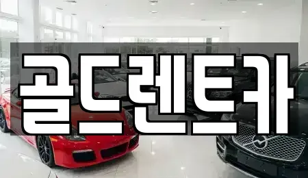 경기도 고양시 일산동구 마두동 렌트카 전문 골드렌트카