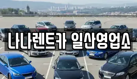 경기도 고양시 일산동구 마두동 렌트카 전문 나나렌트카 일산영업소