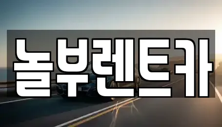 경기도 고양시 일산동구 마두동 렌트카 전문 놀부렌트카