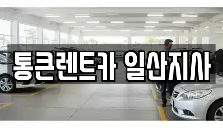 경기도 고양시 일산동구 마두동 렌트카 전문 통큰렌트카 일산지사