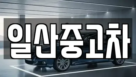 경기도 고양시 일산동구 마두동 중고차 전문 일산중고차