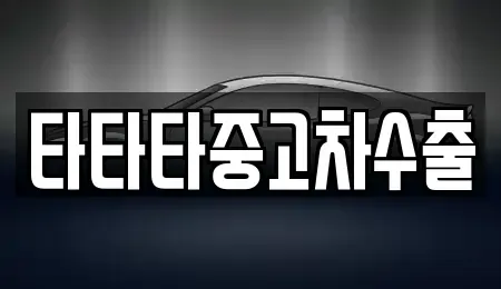 경기도 고양시 일산동구 마두동 중고차 전문 타타타중고차수출