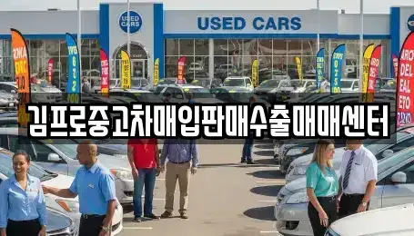경기도 고양시 일산동구 마두동 중고차매입 전문 김프로중고차매입판매수출매매센터