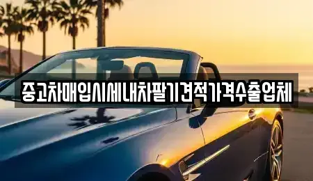 경기도 고양시 일산동구 마두동 중고차매입 전문 중고차매입시세내차팔기견적가격수출업체