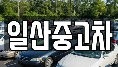 경기도 고양시 일산동구 문봉동 중고차 전문 일산중고차