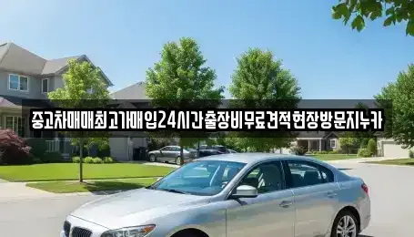 경기도 고양시 일산동구 문봉동 중고차 전문 중고차매매최고가매입24시간출장비무료견적현장방문지누카