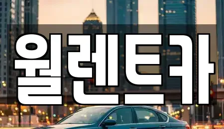 경기도 과천시 별양동 렌트카 전문 월렌트카