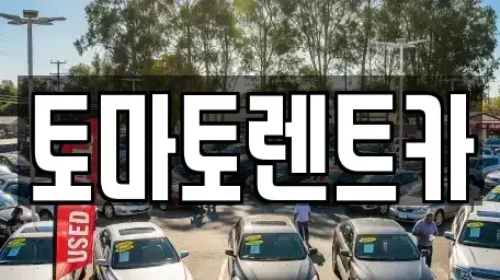 경기도 과천시 별양동 렌트카 전문 토마토렌트카