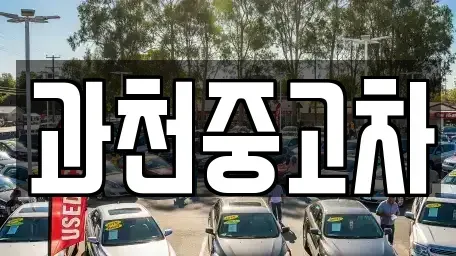 경기도 과천시 별양동 중고차 전문 과천중고차