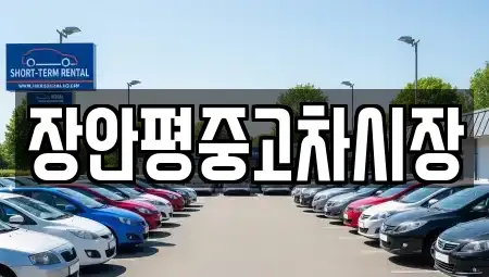 경기도 과천시 별양동 중고차 전문 장안평중고차시장