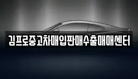경기도 과천시 별양동 중고차매입 전문 김프로중고차매입판매수출매매센터