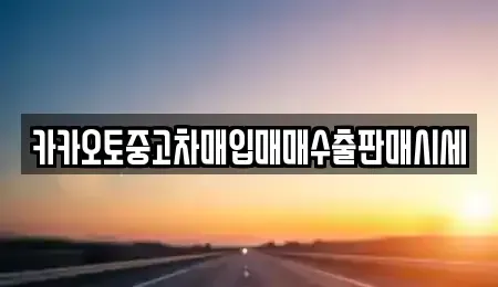 경기도 과천시 별양동 중고차매입 전문 카카오토중고차매입매매수출판매시세