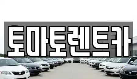 경기도 광주시 남종면 렌트카 전문 토마토렌트카