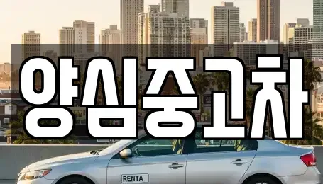 경기도 광주시 남종면 중고차 전문 양심중고차