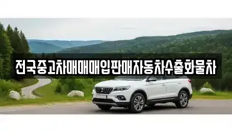 경기도 광주시 남종면 장기렌트카,중고차,렌트카,단기렌트카,중고차매입,중고차매매