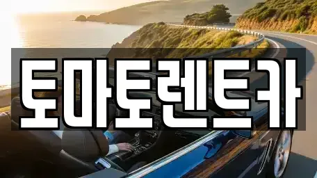 경기도 광주시 남한산성면 렌트카 전문 토마토렌트카